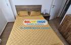 Piata Victoriei Iancu de Hunedoara Apartament 2 camere de inchiriat - 4