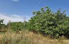 Domnesti - Ciutaci, vanzare 4 loturi de teren intravilan - 12
