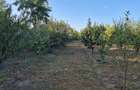 Casă de vânzare în comuna Făcăeni, județul Ialomița – teren 2600 mp, casă nouă, 