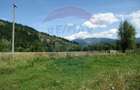 Vanzare Teren 13.650 mp , Suceava / com.Dorna Arini - 6