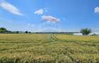Teren 15,000mp Salcea-Prelipca, Suceava - 8