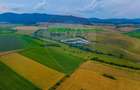 Oportunitate pentru fermieri: 10.800 mp teren arabil în Rotbav, Brașov - 13