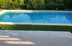 VILA IMPRESIONANTA CU ACCES LA LAC si PISCINA - 24