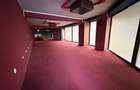Spatiu Comercial Premium | Vad Exceptional | Bulevardul Nufarul 85 - 12