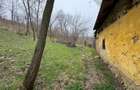 Teren 2.038 mp + Casă 50 mp de vânzare – Sat Luncsoru, Com. Ghercești - 9