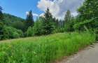 Teren rezidential Predeal zona de case - 2