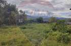 Teren 1,100mp Sighetu Marmatiei / Strada Primăverii - 2