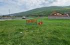 Teren de vis la liziera pădurii – liniște, natură și aer cur - 5