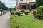 Inchiriere spatiu comercial - 3