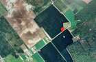Teren intravilan 704 mp in zona Buftea, comision 0% - 1