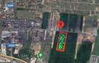 VANZARE TEREN 13.300 MP | TUNARI | - 3
