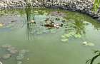 Vânzare Proprietate de excepție cu lac amenajat și pădure proprie | Gura Ocniței - 3