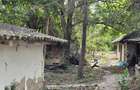 CREVEDIA - DARZA - TEREN 884MP I UTILITATI IN ZONA I COMISION 0% - IMOZONE | - 6