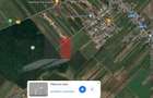 Teren Intravilan Padure Joita - 1