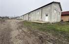 Hală de închiriat în Luizi Calugara - 370 mp construiti - 1.500 m - 2