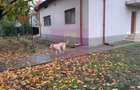 ILFOV - SE VINDE CASA IN ISLAZ / COM. BRANESTI - 36