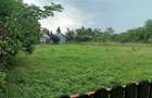 Teren  Intravilan de vanzare  Baicoi, zona LIiliesti - 9