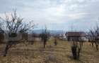 Teren extravilan de vanzare, 900 mp, Bistrita - 2