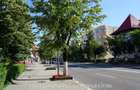 OFERTA UNICA, PARC EPISCOPIE - APARTAMENT 4 CAMERE - 22