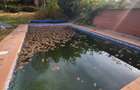 Vila lac snagov in cea mai buna portiune a lacului, ponton, garaj barca, piscina - 38