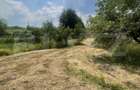 Teren intravilan 3.200 mp | Budacu de Jos | Deschidere la 2 drumuri asfaltate - 4