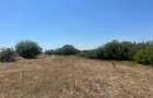 RECO Teren extravilan Holod 27400 mp - 2