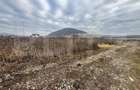 Teren intravilan, 10 ari, ideal pentru casa/hala, zona Sarata - 3