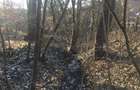 DOMENIU EXCLUSIVIST Băile Govora: 2500 mp cu Helesteu, Pârâu, Pădure, Utilități - 4