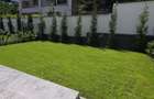 Giulesti  duplex P+1 4 camere de vanzare - 32