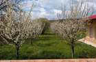Arges | Valea Mare-Bratia | Vila veritabila 276 mp in zona pitoreasca - 4
