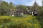 Casă de vânzare în zona Câmpulung înconjurată de natura - 17