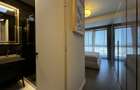 Penthouse Spatios cu Vedere catre Lac in Floreasca - 8