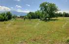 Teren intravilan 5000 mp pe Valea Avrigului, Sibiu - 8