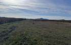 Teren de vanzare in Harman 4,4 Hectare - 8