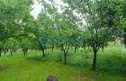 Royal Imobiliare- Vanzare Casa de Vacanta Teisani - 6