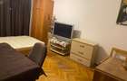 Teiul Doamnei, garsoniera 34 mp - 3