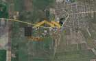 Sacalaz-Zona Industrială II-Disponibilitate Imediata - 3