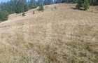 Teren extravilan, 50.000 mp, zona Vatra Dornei