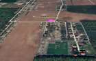 Teren intravilan  1600 mp | ocazie rara | COMISION0% - Ciofliceni -Snagov-PADURE - 3