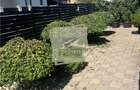 Casa de tip duplex cu 4 camere in zona Selimbar - 17