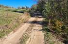 Teren extravilan in localitatea Bulz - 2