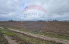 Parcel de teren casa de vanzare Giurgiu Primaria Adunatii-Copaceni - 6