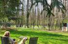 Casa Vermont, cu Padure Privata, Paradisul Verde, teren 1800mp, gradina matura - 2