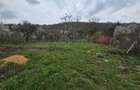 RECO Casa in Sustiu - 23