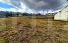 Ferma in intravilanul comunei Cojocna,4,5 Ha cu hale - 9