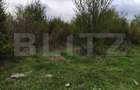 Teren INTRAVILAN 8280 mp, zona Laminorului - 2