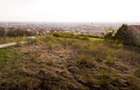 RECO Teren intravilan in Oradea zona dealuri cu panorama - 17
