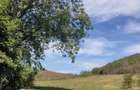 Pădure 268 ha in jud. Bacau, teren, constructii