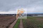 Teren 10,000mp Bacau / Strada Alexandru Safran - 7