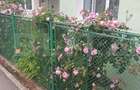Casa cu 2 camere, 52mp, zona Remetea - 12
